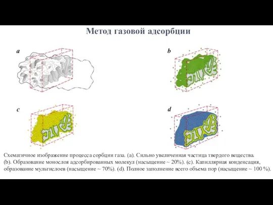 Метод газовой адсорбции a b c d Схематичное изображение процесса сорбции газа.