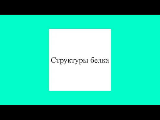 Структуры белка