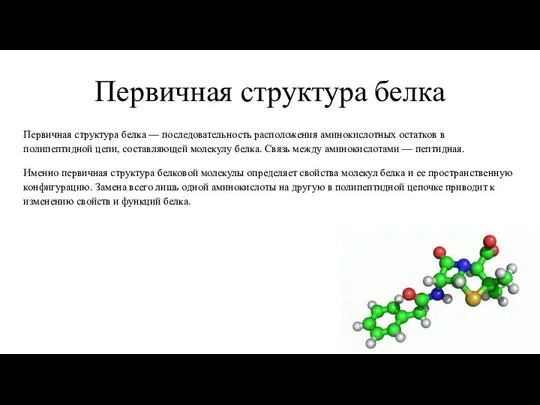 Первичная структура белка Первичная структура белка — последовательность расположения аминокислотных остатков в