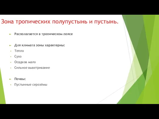 Зона тропических полупустынь и пустынь. Располагается в тропическом поясе Для климата зоны