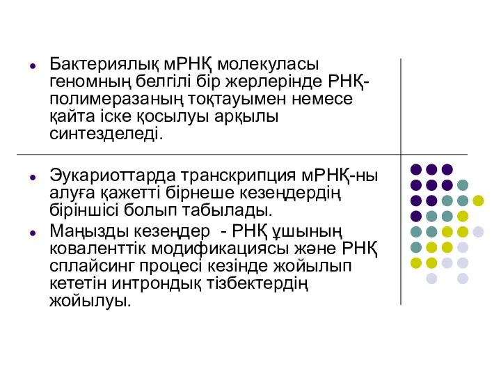 Бактериялық мРНҚ молекуласы геномның белгілі бір жерлерінде РНҚ-полимеразаның тоқтауымен немесе қайта іске