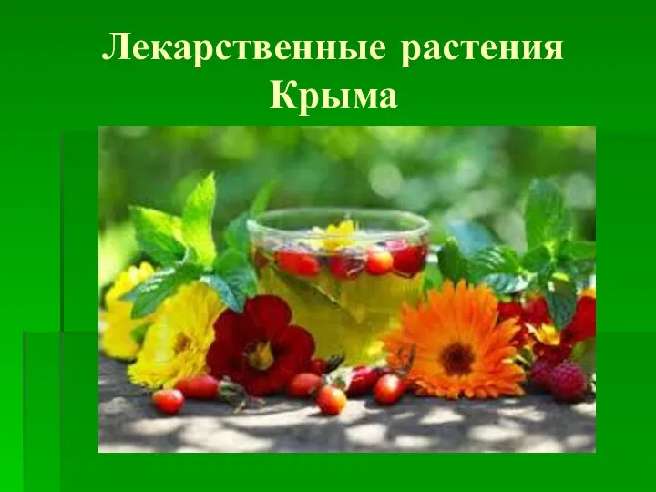 Лекарственные растения Крыма
