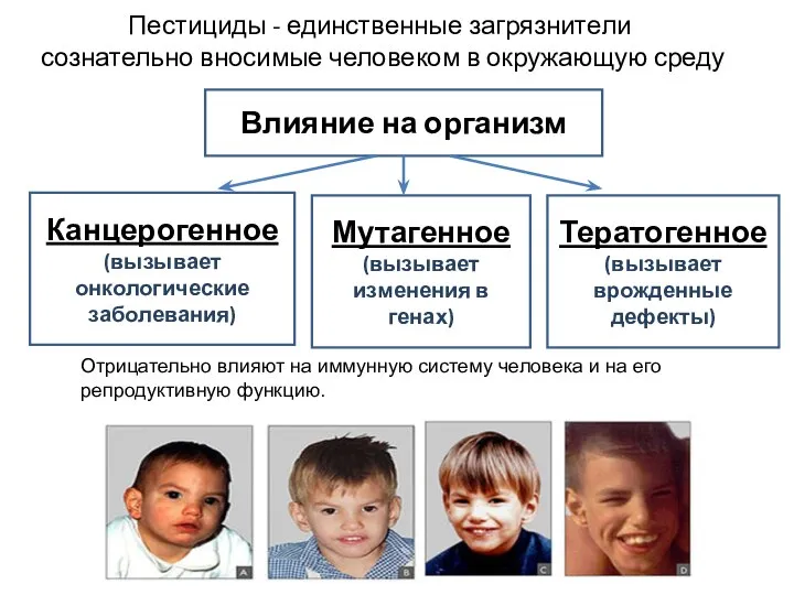 Пестициды - единственные загрязнители сознательно вносимые человеком в окружающую среду Влияние на