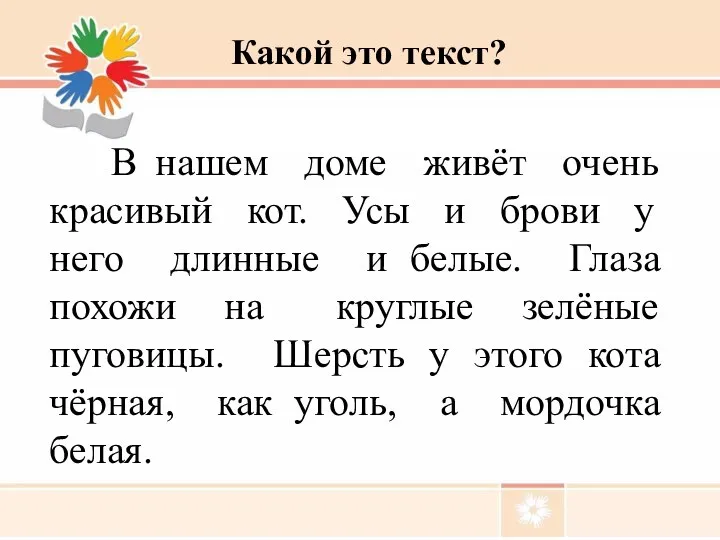 В нашем доме живёт очень красивый кот. Усы и брови у него