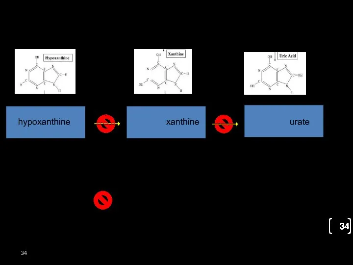 Pathophysiology hypoxanthine urate xanthine XO XO XO=xanthine oxidase Allopurinol and febuxostat inhibit