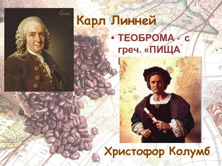 Карл Линней ТЕОБРОМА - с греч. «ПИЩА БОГОВ» Христофор Колумб