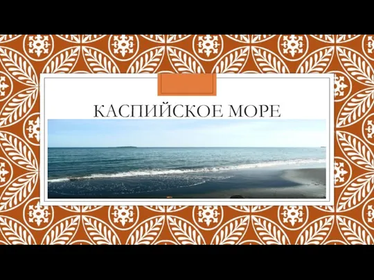 КАСПИЙСКОЕ МОРЕ