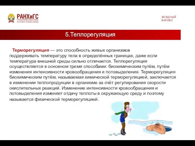 ЗАПАДНЫЙ ФИЛИАЛ Терморегуляция — это способность живых организмов поддерживать температуру тела в