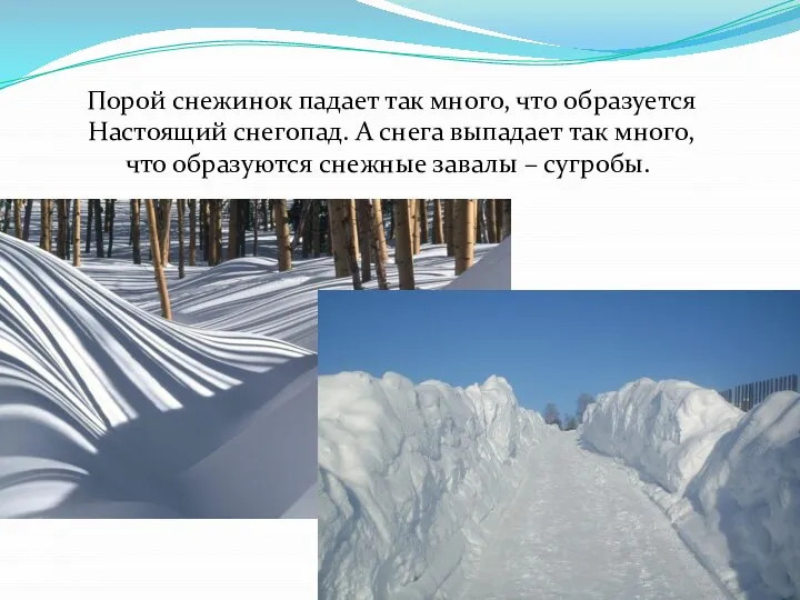 Порой снежинок падает так много, что образуется Настоящий снегопад. А снега выпадает