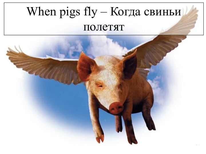 When pigs fly – Когда свиньи полетят