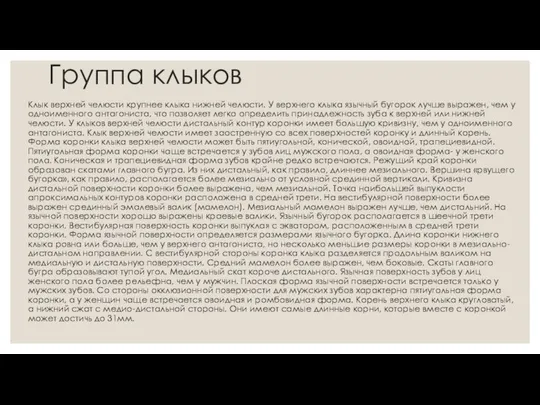 Группа клыков Клык верхней челюсти крупнее клыка нижней челюсти. У верхнего клыка