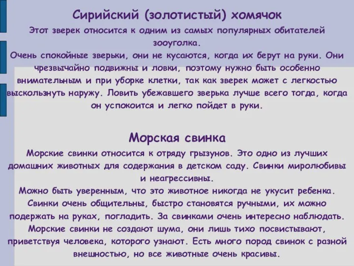 Сирийский (золотистый) хомячок Этот зверек относится к одним из самых популярных обитателей