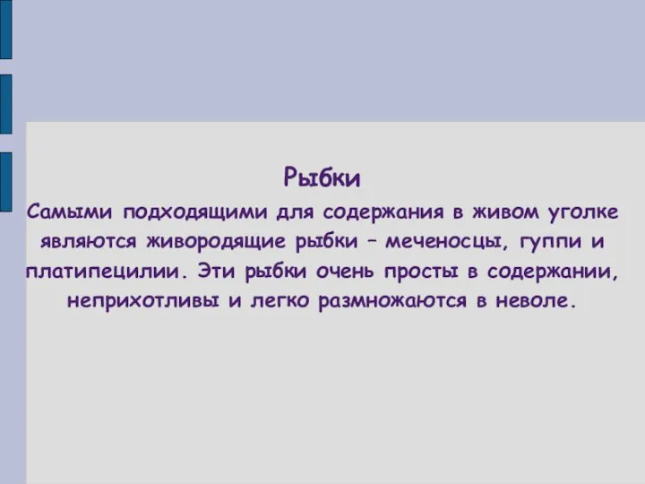 Рыбки Самыми подходящими для содержания в живом уголке являются живородящие рыбки –