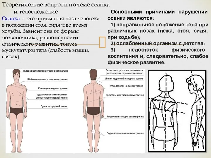 Осанка - это привычная поза человека в положении стоя, сидя и во