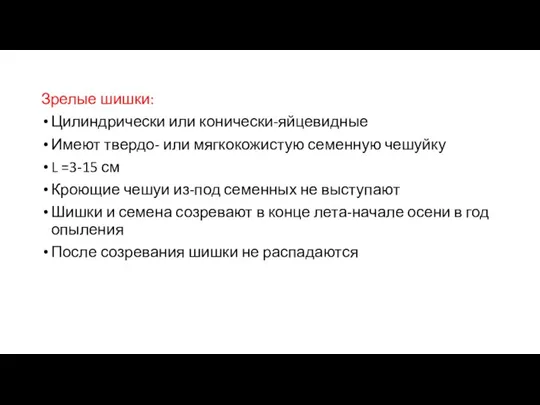 Зрелые шишки: Цилиндрически или конически-яйцевидные Имеют твердо- или мягкокожистую семенную чешуйку L