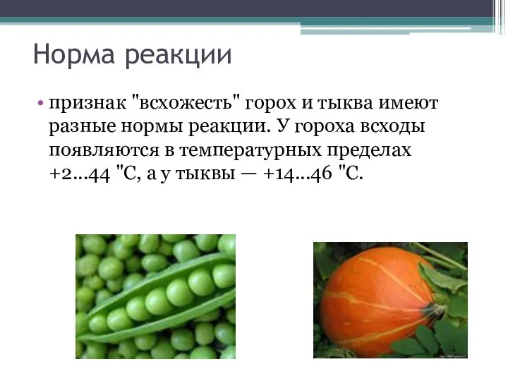 Норма реакции признак "всхожесть" горох и тыква имеют разные нормы реакции. У