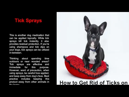 This is another dog medication that can be applied topically. While tick