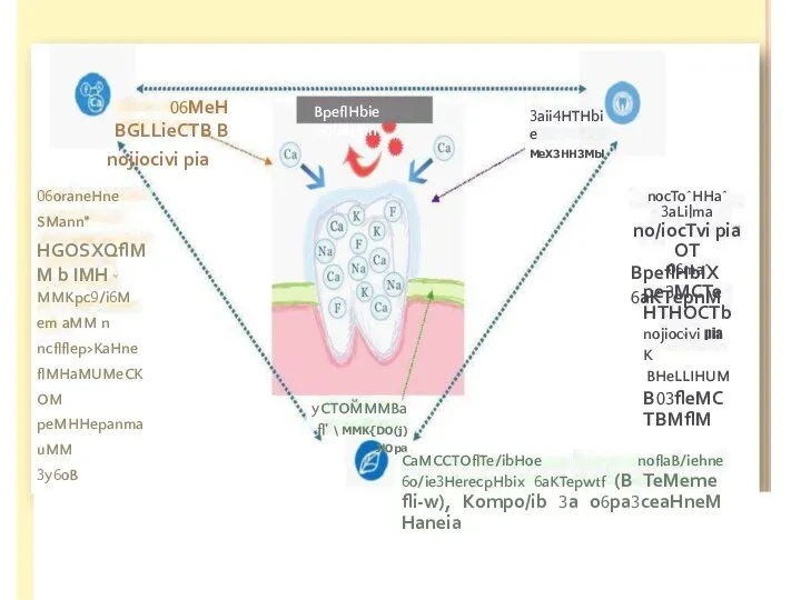 06MeH BGLLieCTB B nojiocivi pia 3aii4HTHbie MeX3HH3Mbl 06oraneHne SMann* HGOSXQflMM b IMH