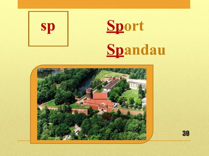 sp Sport Spandau