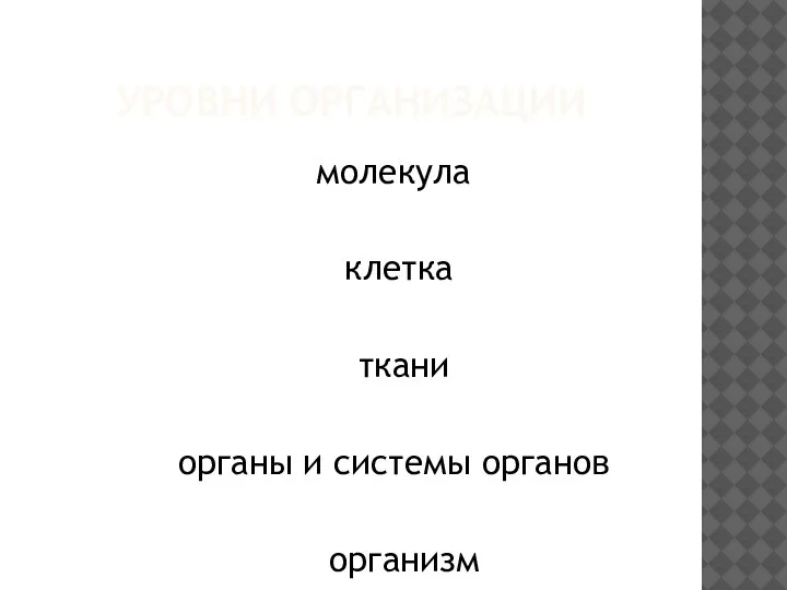 УРОВНИ ОРГАНИЗАЦИИ молекула клетка ткани органы и системы органов организм