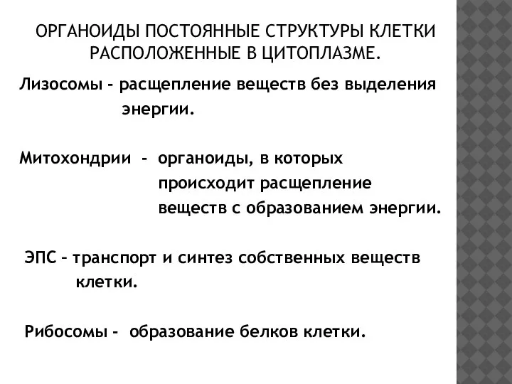 ОРГАНОИДЫ ПОСТОЯННЫЕ СТРУКТУРЫ КЛЕТКИ РАСПОЛОЖЕННЫЕ В ЦИТОПЛАЗМЕ. Лизосомы - расщепление веществ без