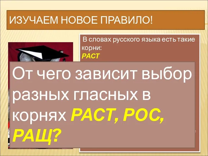 ИЗУЧАЕМ НОВОЕ ПРАВИЛО! В словах русского языка есть такие корни: РАСТ РАЩ