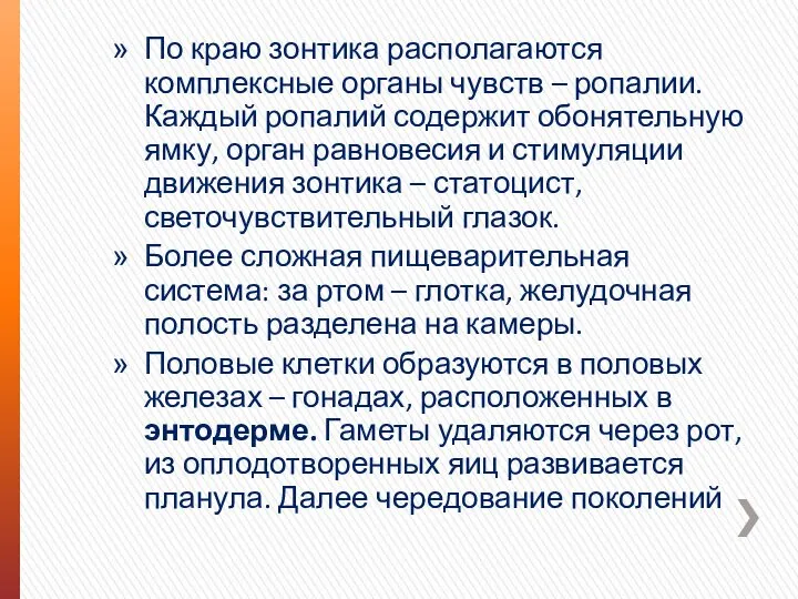 По краю зонтика располагаются комплексные органы чувств – ропалии. Каждый ропалий содержит