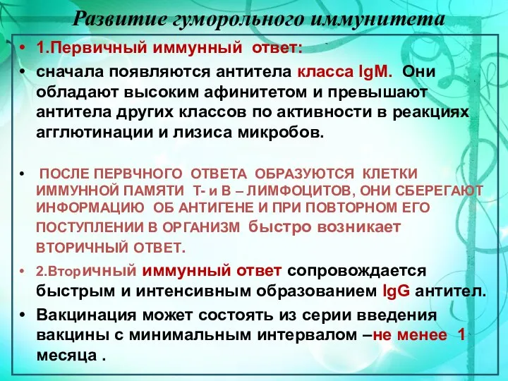 Развитие гуморольного иммунитета 1.Первичный иммунный ответ: сначала появляются антитела класса ІgM. Они