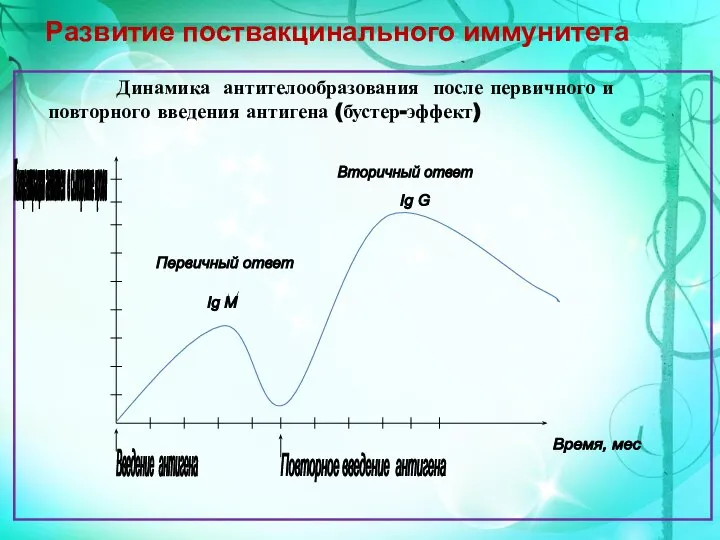 Развитие поствакцинального иммунитета Динамика антителообразования после первичного и повторного введения антигена (бустер-эффект)