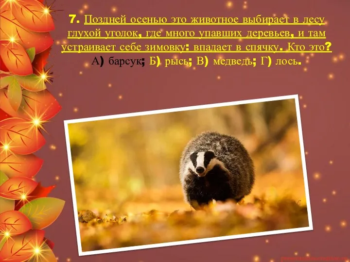 7. Поздней осенью это животное выбирает в лесу глухой уголок, где много