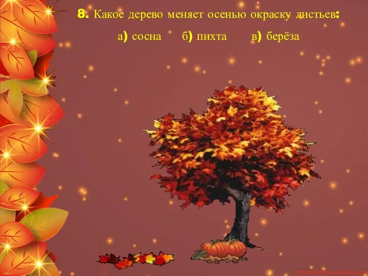 8. Какое дерево меняет осенью окраску листьев: а) сосна б) пихта в) берёза