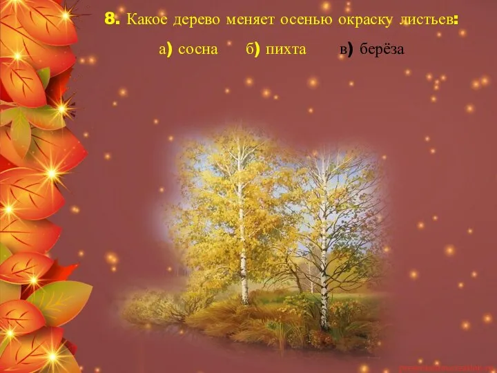 8. Какое дерево меняет осенью окраску листьев: а) сосна б) пихта в) берёза