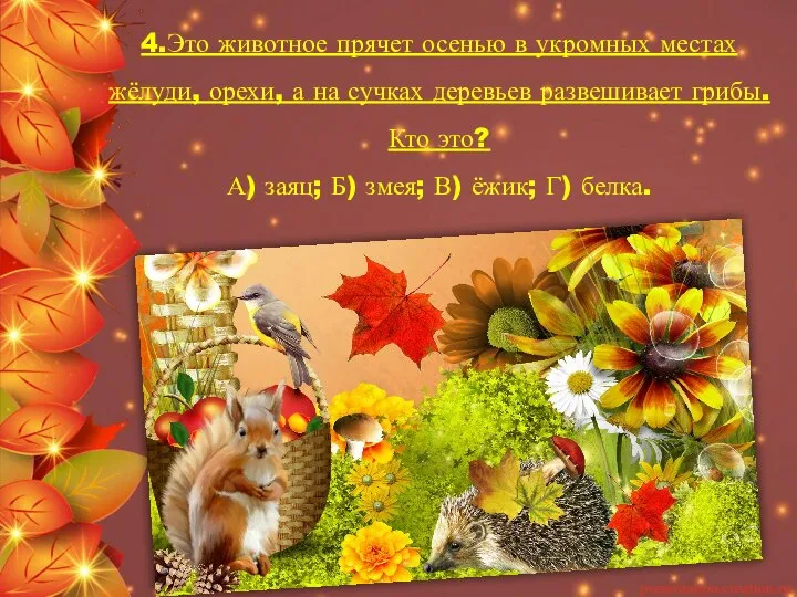 4.Это животное прячет осенью в укромных местах жёлуди, орехи, а на сучках