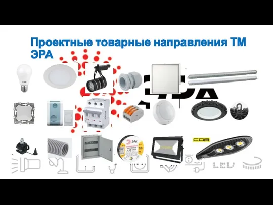 Проектные товарные направления ТМ ЭРА