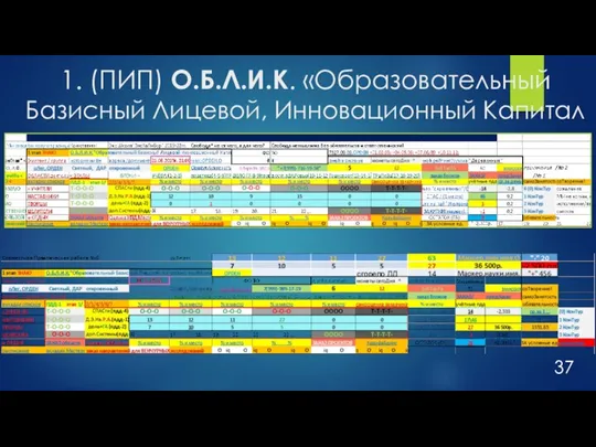 1. (ПИП) О.Б.Л.И.К. «Образовательный Базисный Лицевой, Инновационный Капитал 37