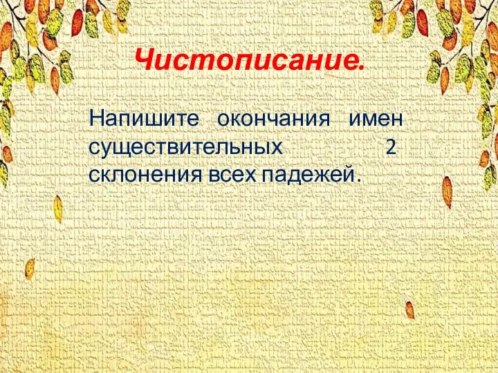 Чистописание. Напишите окончания имен существительных 2 склонения всех падежей.