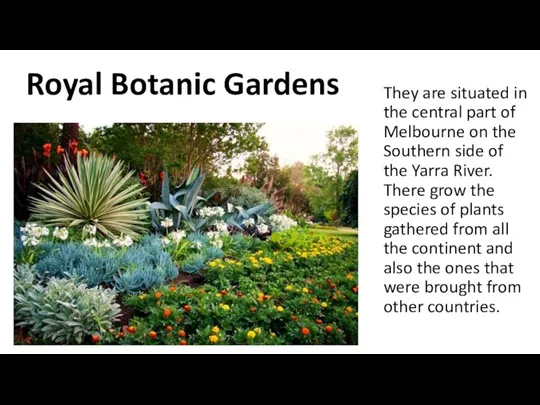 They are situated in the central part of Melbourne on the Southern