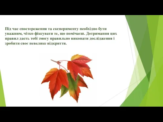 Під час спостереження та експерименту необхідно бути уважним, чітко фіксувати те, що