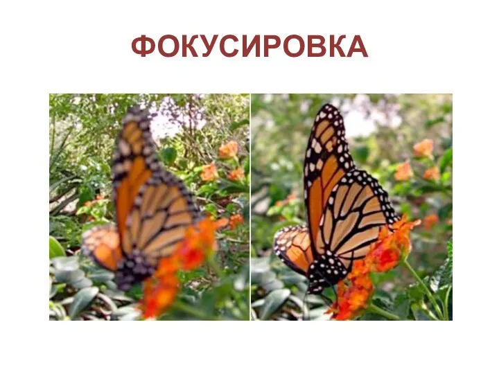 ФОКУСИРОВКА