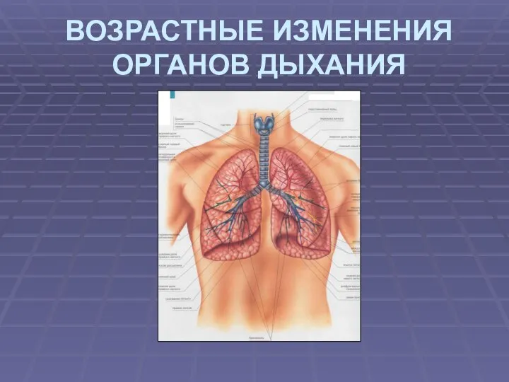 ВОЗРАСТНЫЕ ИЗМЕНЕНИЯ ОРГАНОВ ДЫХАНИЯ