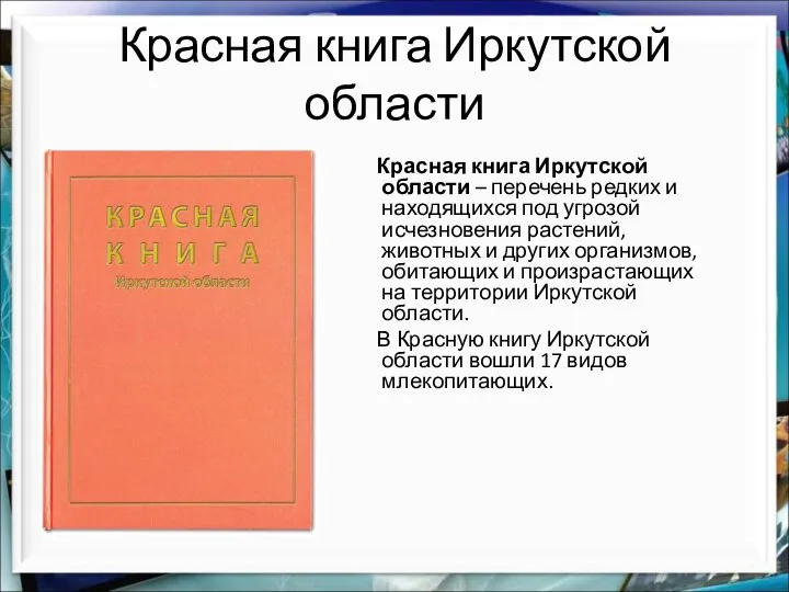 Красная книга Иркутской области Красная книга Иркутской области – перечень редких и