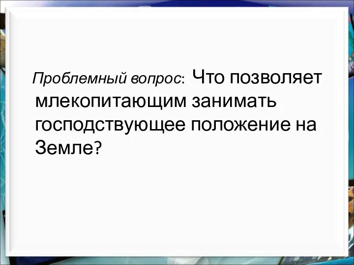 Проблемный вопрос: Что позволяет млекопитающим занимать господствующее положение на Земле?