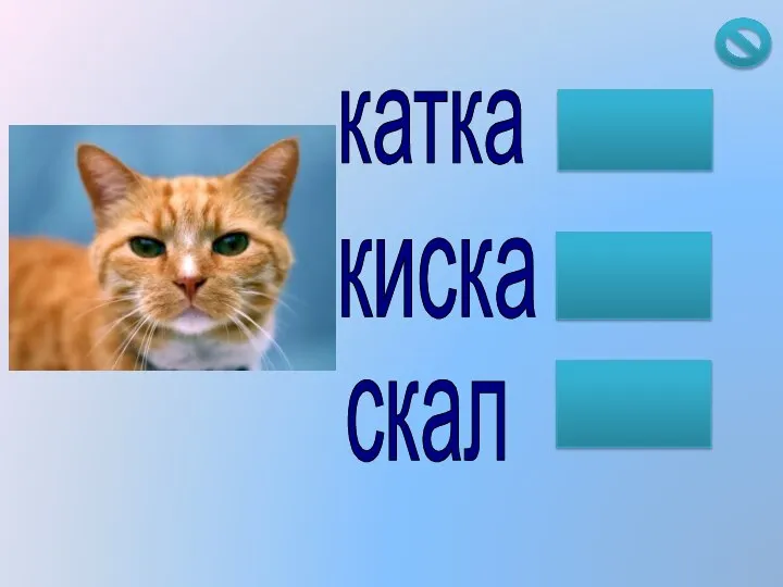 катка скал киска