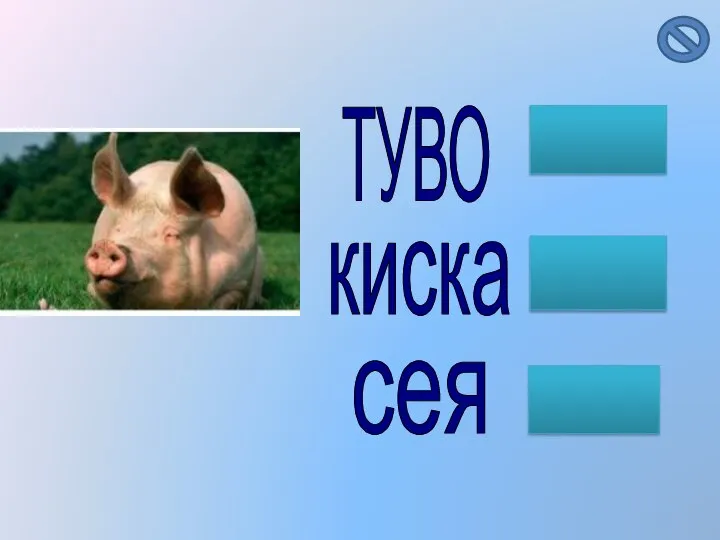 ТУВО киска сея