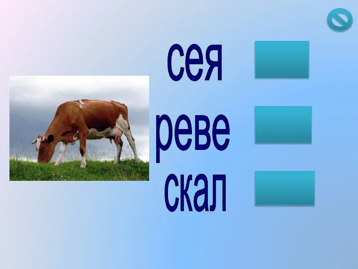 скал реве сея