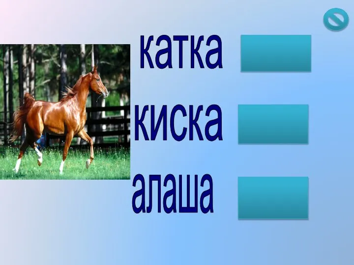 алаша катка киска