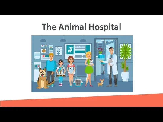 The Animal Hospital