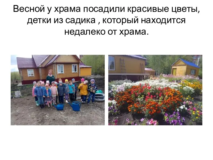 Весной у храма посадили красивые цветы, детки из садика , который находится недалеко от храма.