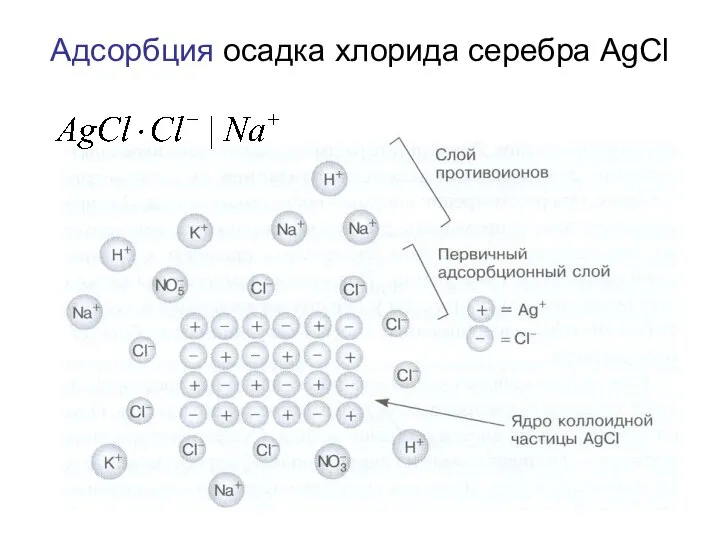 Адсорбция осадка хлорида серебра AgCl