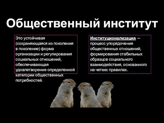 Общественный институт Это устойчивая (сохраняющаяся из поколения в поколение) форма организации и